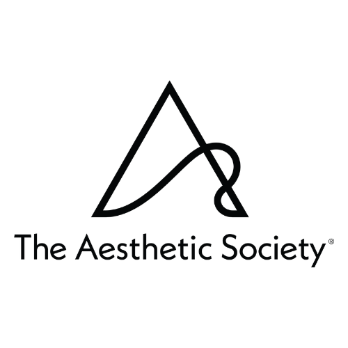 The Aesthetic Society