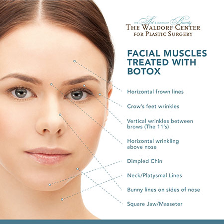 Portland's Waldorf Center for Plastic Surgery uses BOTOX® for a range of cosmetic applications on the face and neck.