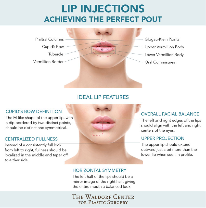 Learn the elements of ideal lips and how lip injections can help at Portland's Waldorf Center.